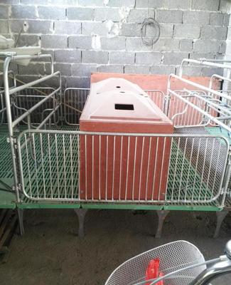 廣西養豬設備產業聚焦 柳州飼料車運料車的創新應用與市場拓展