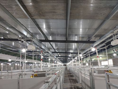 養豬規?；髣菟?規?；i場需要哪些養豬設備 欄位系統篇